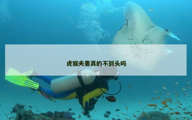 虎猴夫妻真的不到头吗