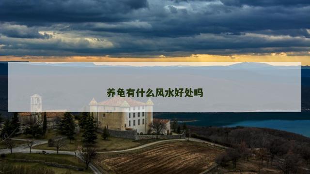 养龟有什么风水好处吗