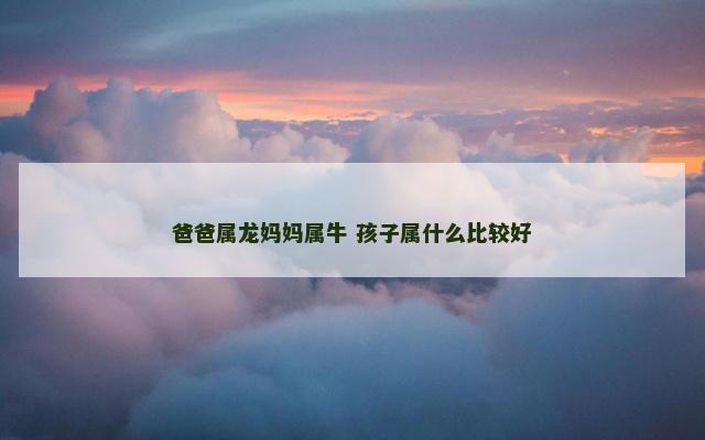 爸爸属龙妈妈属牛 孩子属什么比较好