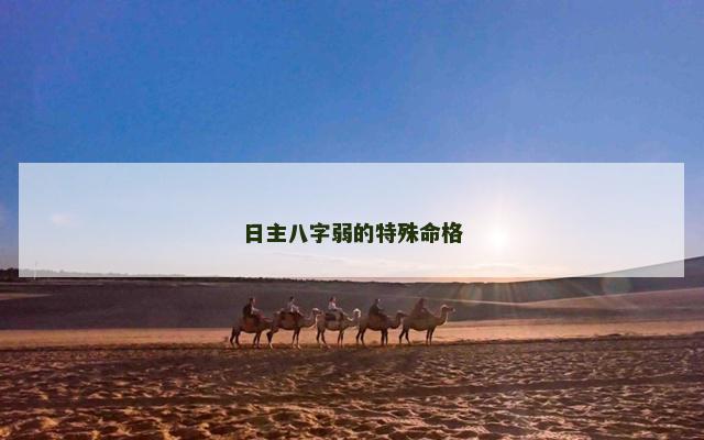 日主八字弱的特殊命格