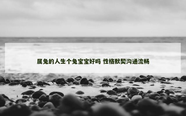 属兔的人生个兔宝宝好吗 性格默契沟通流畅