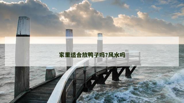 家里适合放鸭子吗?风水吗