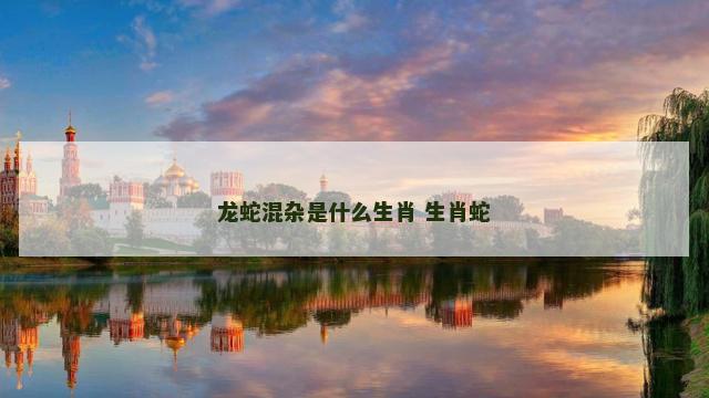 龙蛇混杂是什么生肖 生肖蛇