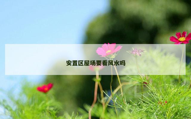 安置区屋场要看风水吗