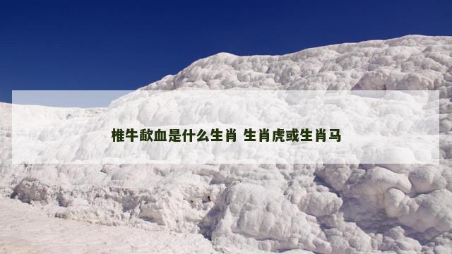 椎牛歃血是什么生肖 生肖虎或生肖马