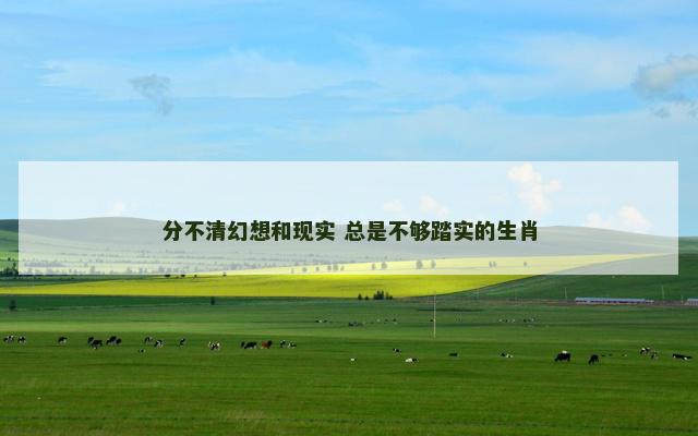 分不清幻想和现实 总是不够踏实的生肖