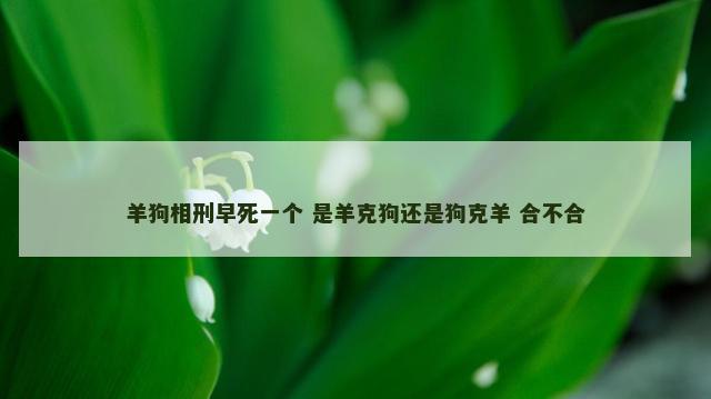 羊狗相刑早死一个 是羊克狗还是狗克羊 合不合