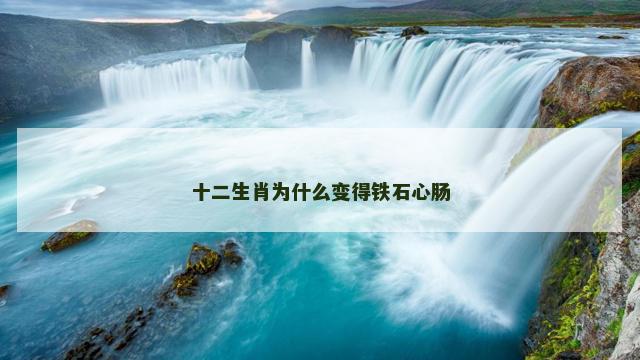 十二生肖为什么变得铁石心肠