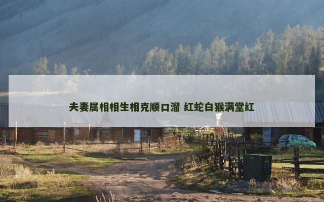 夫妻属相相生相克顺口溜 红蛇白猴满堂红
