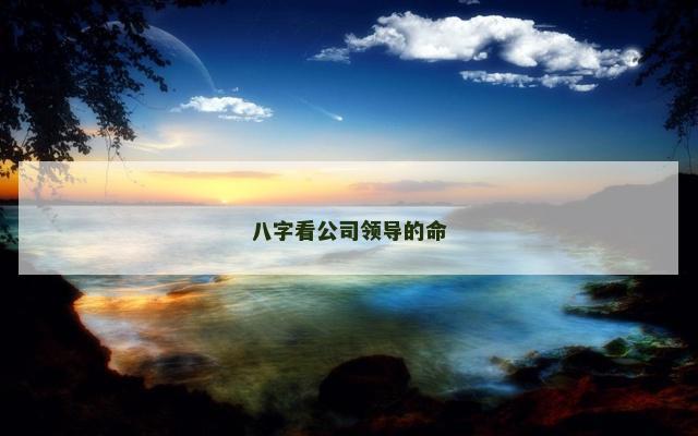 八字看公司领导的命