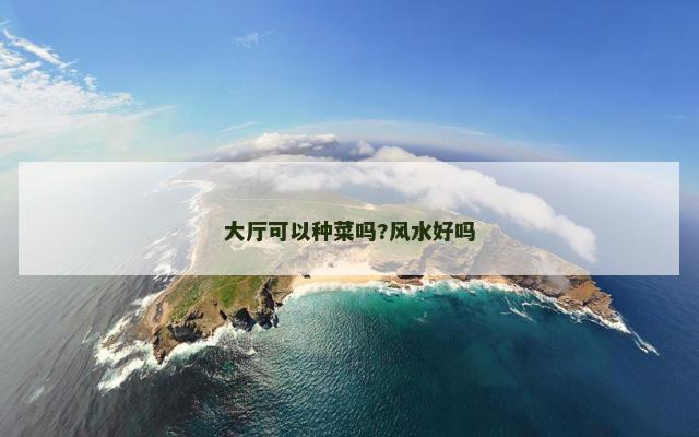 大厅可以种菜吗?风水好吗