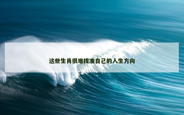 这些生肖很难找准自己的人生方向