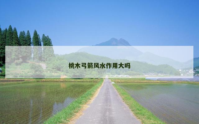 桃木弓箭风水作用大吗