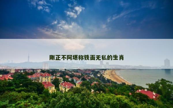 刚正不阿堪称铁面无私的生肖