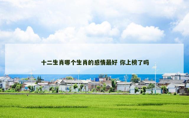 十二生肖哪个生肖的感情最好 你上榜了吗