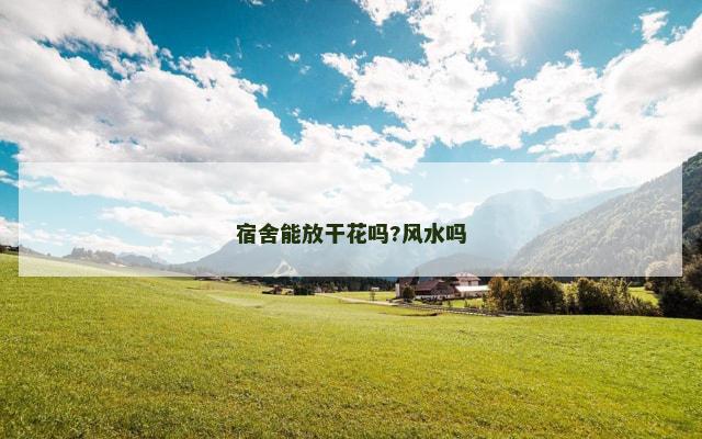 宿舍能放干花吗?风水吗