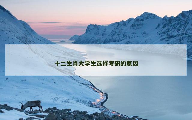 十二生肖大学生选择考研的原因