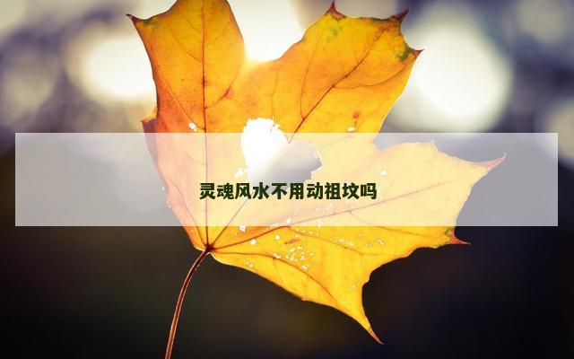 灵魂风水不用动祖坟吗