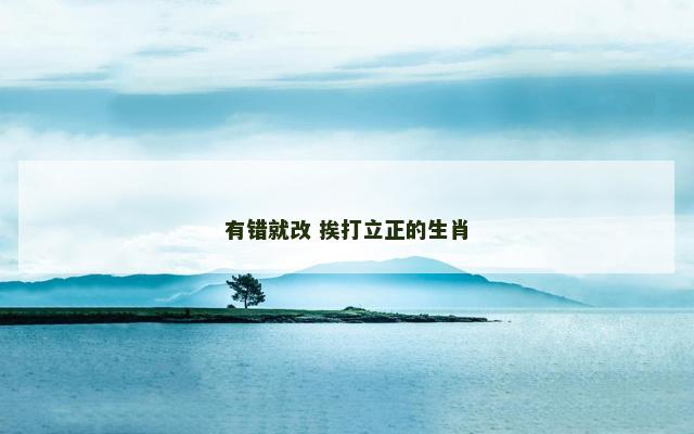 有错就改 挨打立正的生肖