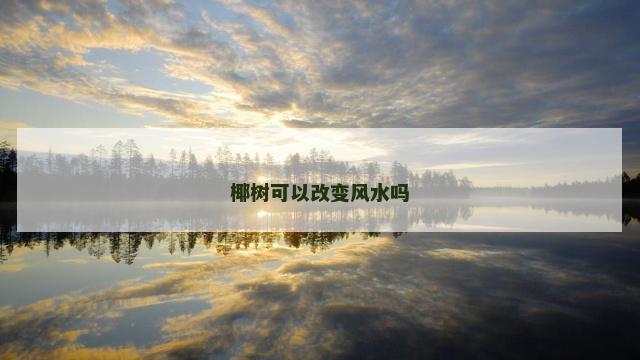 椰树可以改变风水吗