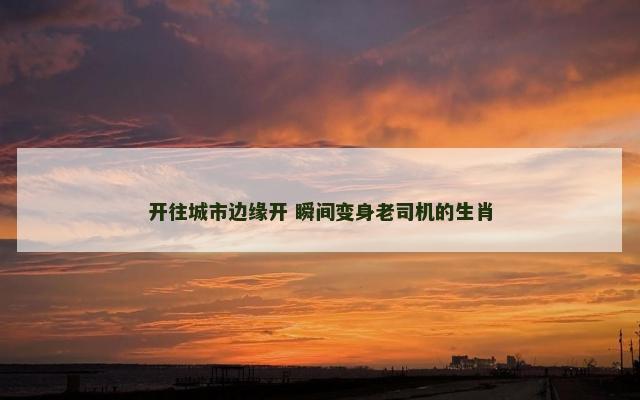 开往城市边缘开 瞬间变身老司机的生肖