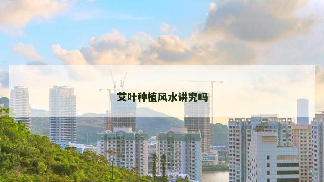 艾叶种植风水讲究吗
