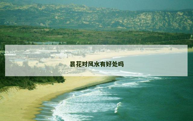 昙花对风水有好处吗