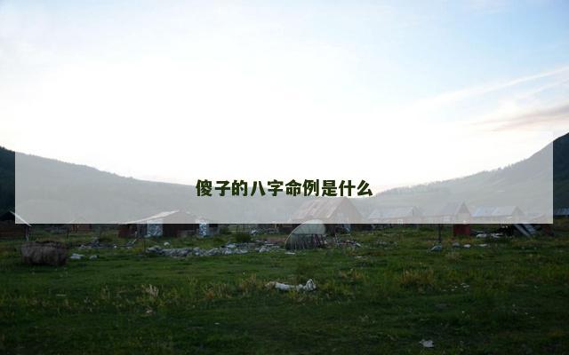 傻子的八字命例是什么