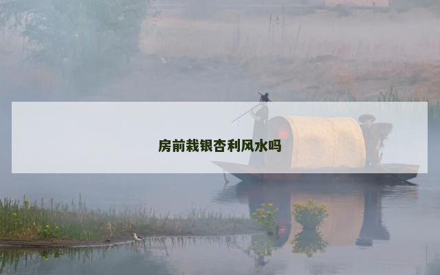 房前栽银杏利风水吗