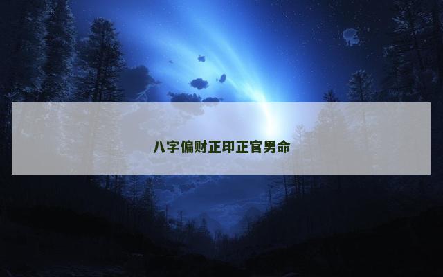 八字偏财正印正官男命