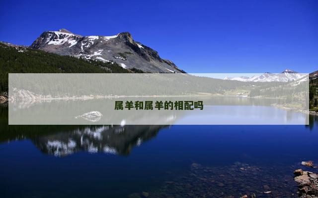 属羊和属羊的相配吗