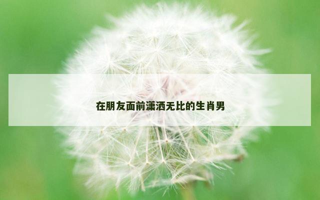 在朋友面前潇洒无比的生肖男