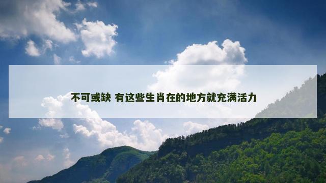 不可或缺 有这些生肖在的地方就充满活力