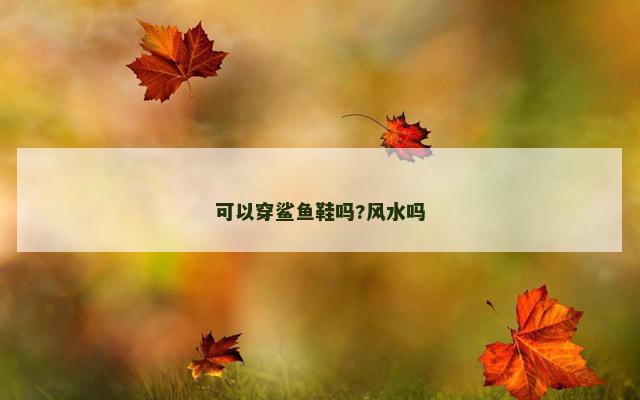 可以穿鲨鱼鞋吗?风水吗