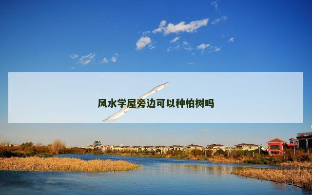 风水学屋旁边可以种柏树吗