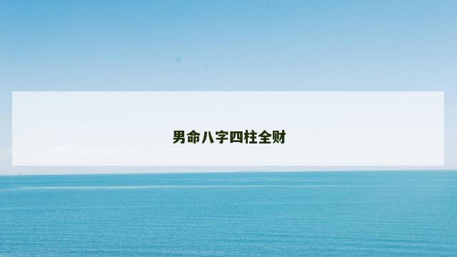 男命八字四柱全财