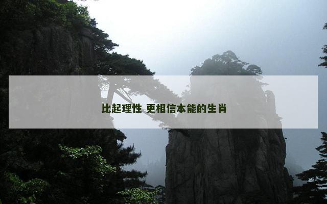比起理性 更相信本能的生肖