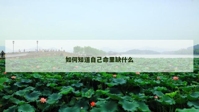 如何知道自己命里缺什么