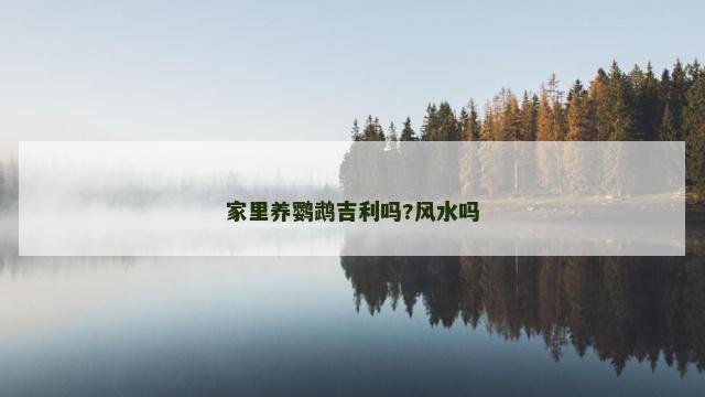 家里养鹦鹉吉利吗?风水吗