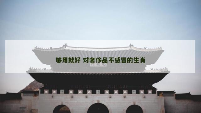够用就好 对奢侈品不感冒的生肖