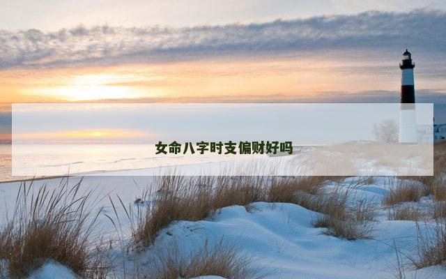 女命八字时支偏财好吗