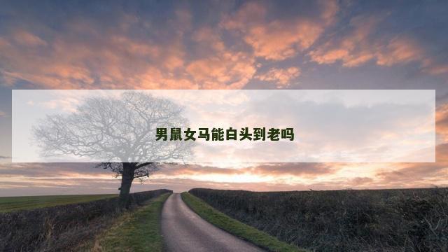 男鼠女马能白头到老吗