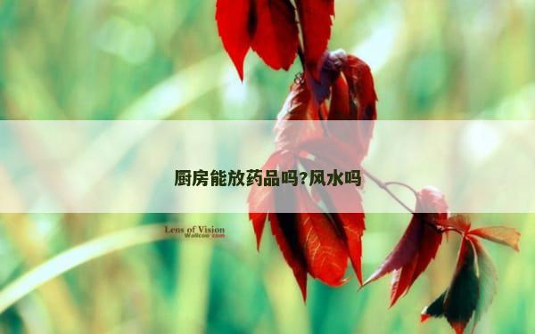 厨房能放药品吗?风水吗