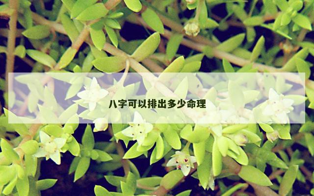 八字可以排出多少命理