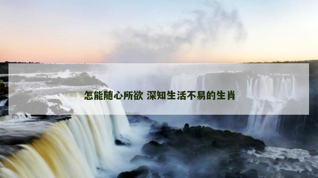 怎能随心所欲 深知生活不易的生肖