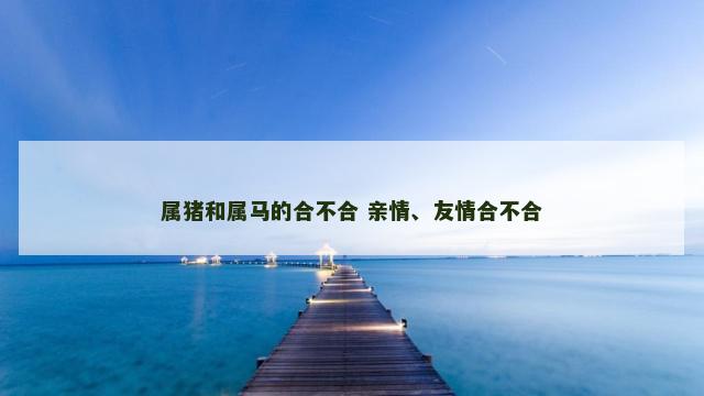 属猪和属马的合不合 亲情、友情合不合