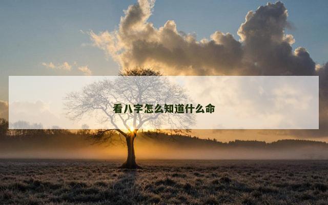 看八字怎么知道什么命