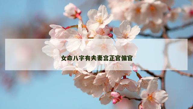 女命八字有夫妻宫正官偏官
