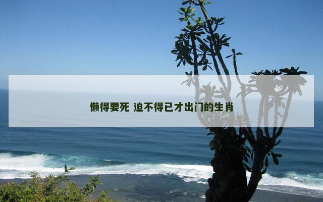 懒得要死 迫不得已才出门的生肖