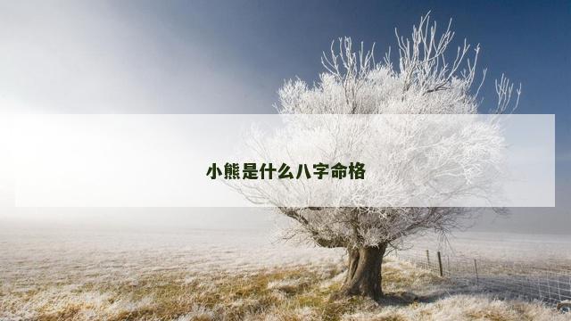 小熊是什么八字命格
